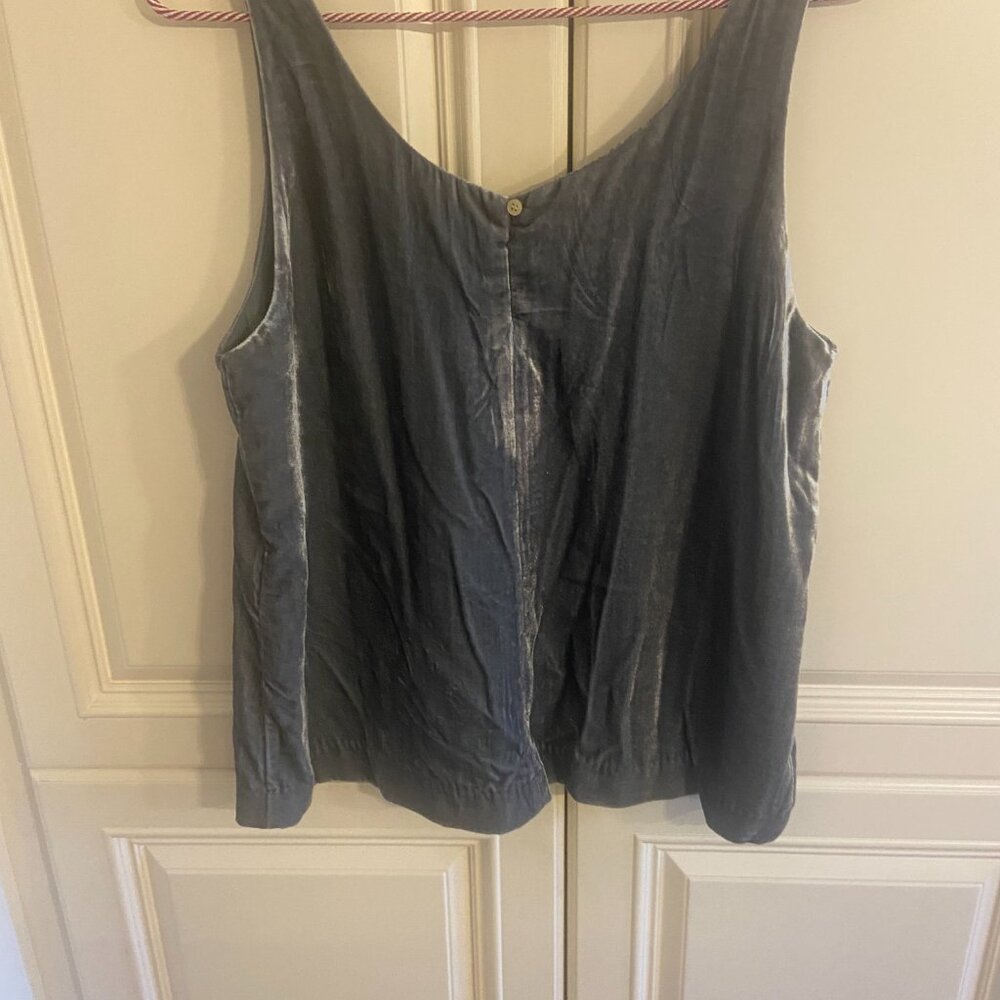 Brand new Grey Velvet top with tags